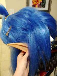 Ear Test and pontyail position test